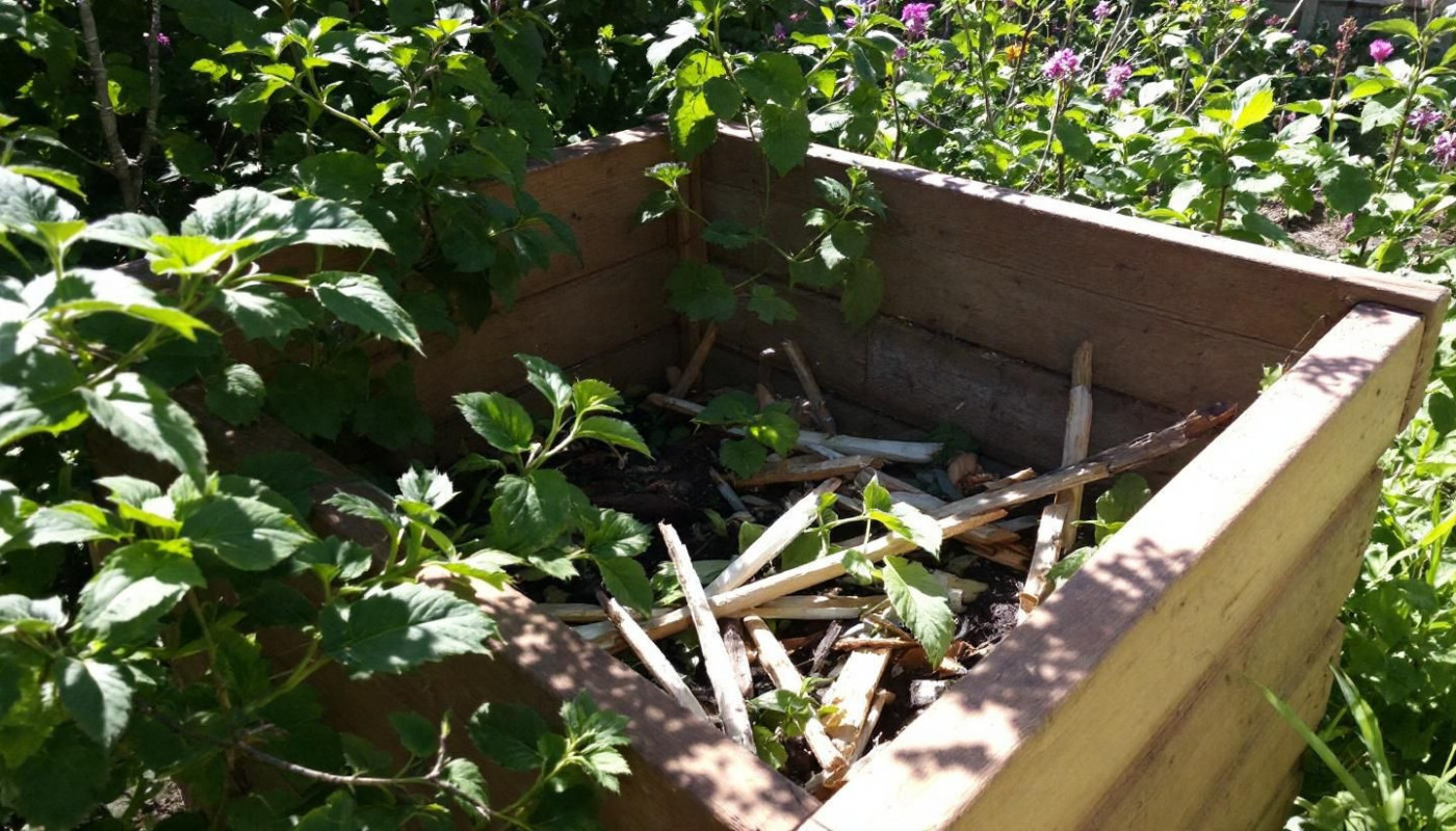 Comment créer un composteur écologique pour votre jardin ?